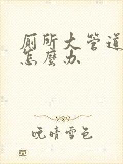 厕所大管道漏水怎么办