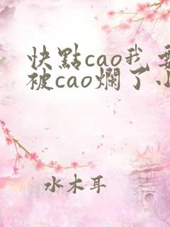 快点cao我要被cao烂了小说