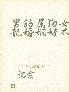 男的属狗女的属龙婚姻好不好