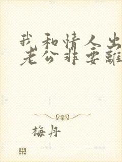 我和情人出轨后老公非要离婚小说