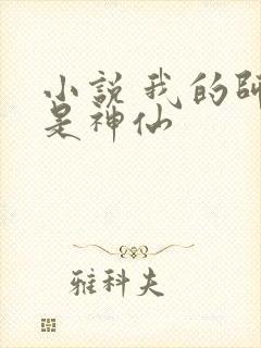 小说 我的师傅是神仙