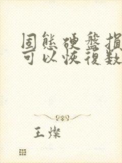 固态硬盘损坏后可以恢复数据吗