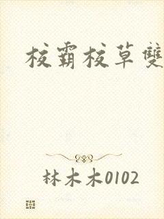 校霸校草双男主