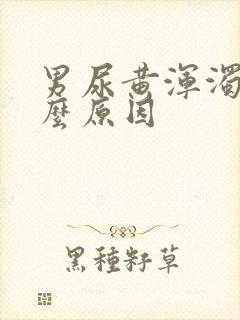 男尿黄浑浊是什么原因