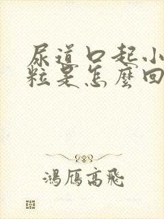 尿道口起小红肉粒是怎么回事