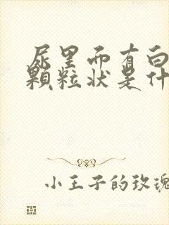 尿里面有白色的颗粒状是什么原因