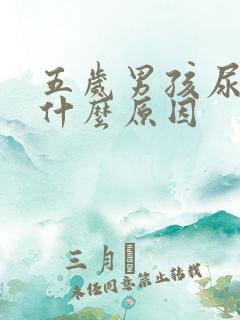 五岁男孩尿床是什么原因