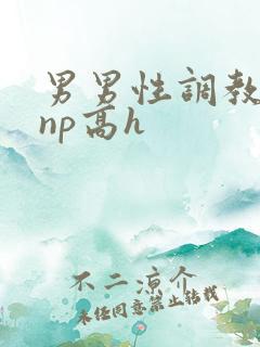 男男性调教小说np高h