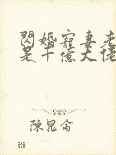 闪婚宠妻老公竟是千亿大佬免费阅读