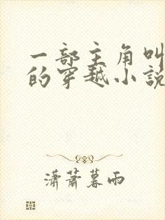 一部主角叫金锋的穿越小说