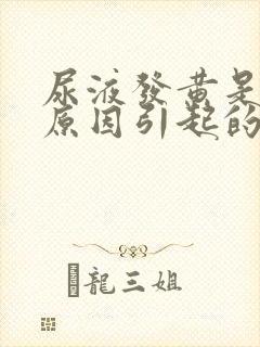 尿液发黄是什么原因引起的