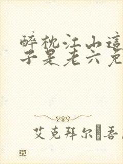 醉枕江山这个皇子是老六免费观看