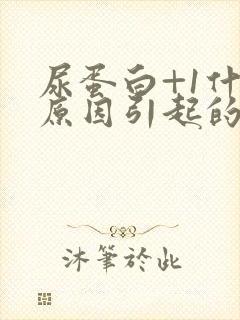 尿蛋白+1什么原因引起的