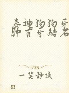 泰迪狗狗牙龈红肿有牙结石怎么办