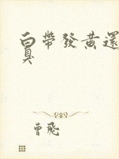 白带发黄还有恶臭