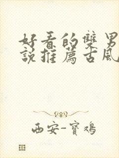 好看的双男主小说推荐古风