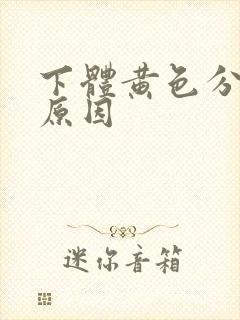 下体黄色分泌物原因