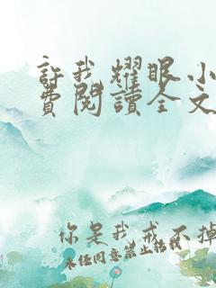 许我耀眼小说免费阅读全文最新章节