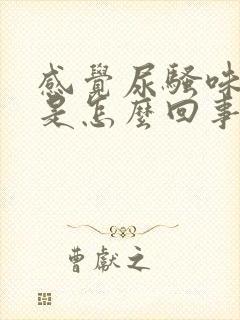 感觉尿骚味很重是怎么回事