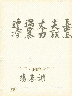 遭遇丈夫长时间冷暴力该怎么办