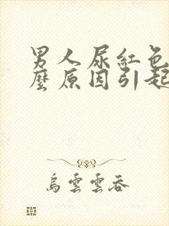 男人尿红色是什么原因引起的