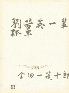 刘若英一辈子的孤单