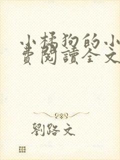 小橘狗的小说免费阅读全文无弹窗