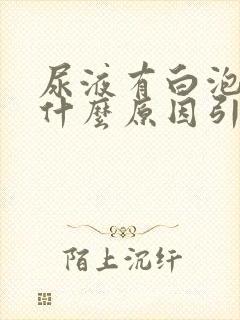 尿液有白泡泡是什么原因引起的