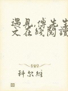 遇见,傅先生全文在线阅读