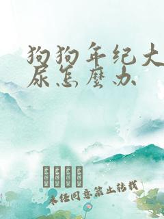 狗狗年纪大了漏尿怎么办