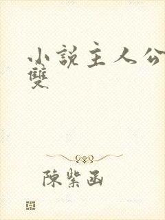 小说主人公叶无双