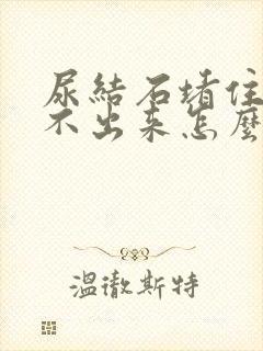 尿结石堵住了尿不出来怎么办