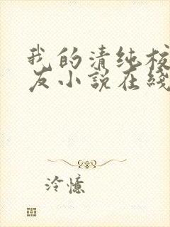 我的清纯校花女友小说在线阅读