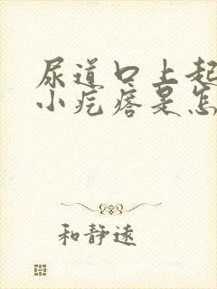 尿道口上起了个小疙瘩是怎么回事