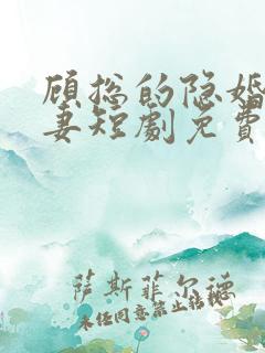 顾总的隐婚小罪妻短剧免费观看