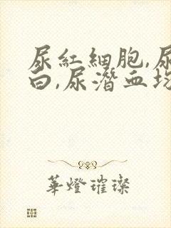 尿红细胞,尿蛋白,尿潜血均高是什么原因