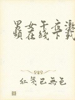 男女午夜激情视频在线下载网站