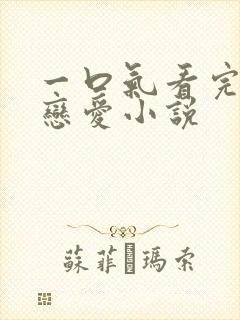 一口气看完甜文恋爱小说