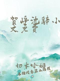 贺峥沈辞小说全文免费