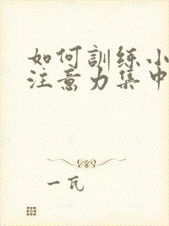 如何训练小孩的注意力集中