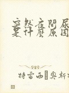 突然夜间尿频繁是什么原因