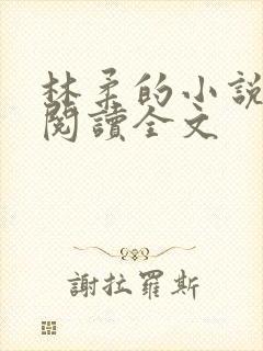 林柔的小说在线阅读全文