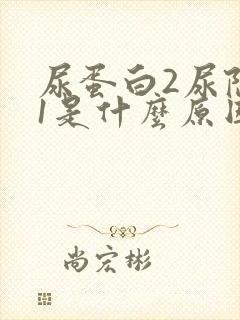 尿蛋白2尿隐血1是什么原因