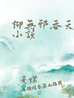 柳无邪吞天神鼎小说