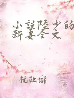 小说陆少的暖婚新妻全文