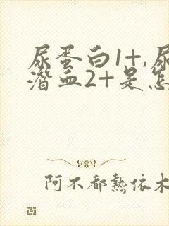 尿蛋白1+,尿潜血2+是怎么回事