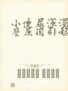 小便尿浑浊是什么原因引起的