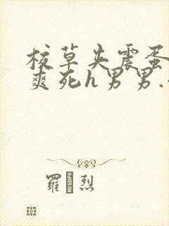 校草夹震蛋上课爽死h男男.小说