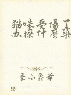 猫咪受伤了怎么办擦什么药