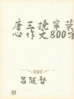 唐三挠宁荣荣脚心作文800字范文